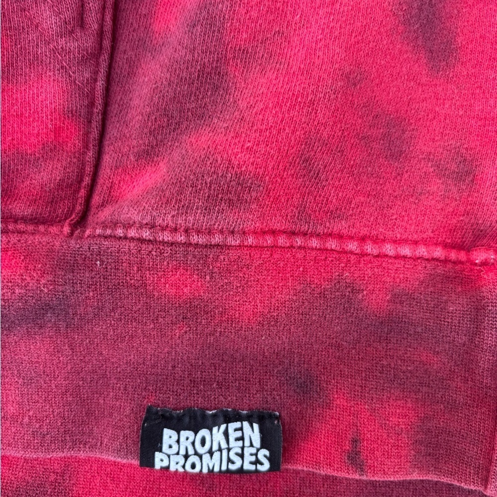 Broken Promises - Picture 2 of 6